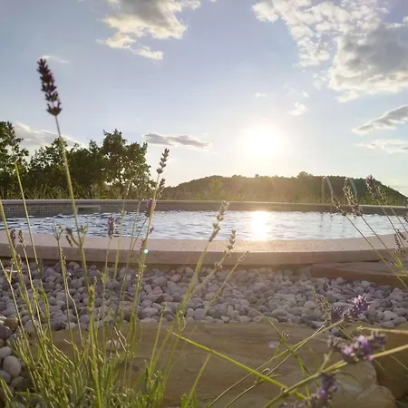 Meloni * מוטובון